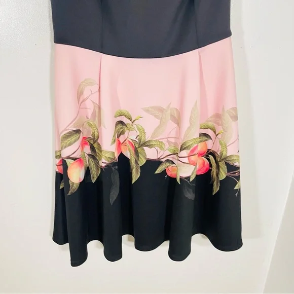 NWT Ted Baker London Peach Blossom Dress Black